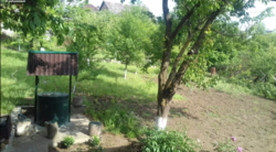 ��������� ��� �����������, �����������, �������� ���� 6