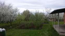 Продам дачний будинок фото 5 Продам дачний будинок фото 5