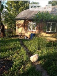 ������ ������� ���� 5