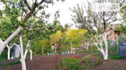 ��������� ��� �����������, �����������, �������� ���� ���� 13