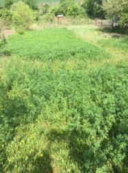 ������ ���� ���� 4