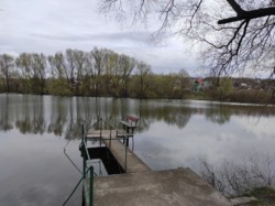 ��������� ��� �����������, ����������� ���� 1