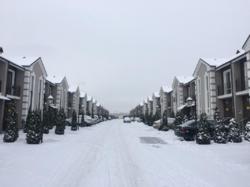 ��������� ��� �����������, �����������, ������ ���� 7