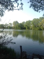 ��������� ��� �����������, ����������� ���� 8