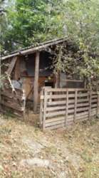 ��������� ��� ������, �����������, �����������, ������� ���� 7