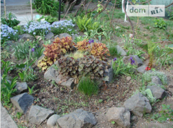 ��������� ��� ϳ�������, �����������, �����������, ������ ���� 4