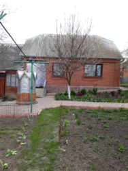 Продается дом Хмельницкий, Хмельницкая, Ружичная фото 3 Продается дом Хмельницкий, Хмельницкая, Ружичная фото 3