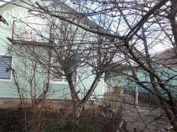 ��������� ��� �����������, �����������, ������� ������� ���� 7