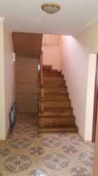 ��������� ��� �������, �����������, �����������, ������ ���� 7