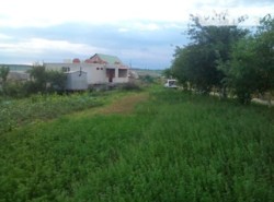 ������ �������������� ������� ���� 5