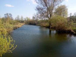 Продаж дачі фото 4 Продаж дачі фото 4