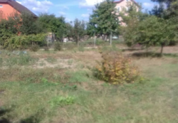 ��������� ��� �����������, �����������, ������ ���� 10