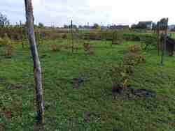 ��������� ��� ����������, ���������, �����������, ����������� ���� 4