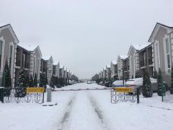 ��������� ��� �����������, �����������, ������ ���� 3