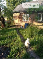 ������ ������� ���� 2