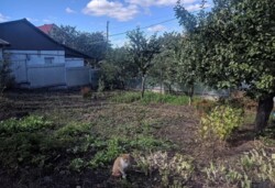 ������ ������� ���� 3