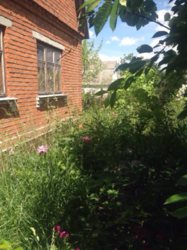 Продается дом Заярна, Книжківці, Хмельницкий, Хмельницкая фото 11 Продается дом Заярна, Книжківці, Хмельницкий, Хмельницкая фото 11