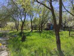 ��������� ��� �����������, ����������� ���� 8