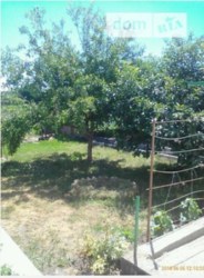 ������ ������� ���� 12