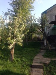 ��������� ��� �����������, ����������� ���� 5