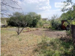 ������ ���� 7