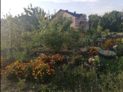 Продаж будинку фото 2 Продаж будинку фото 2