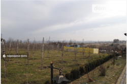 ������ ������� ���� 19