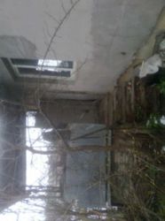 ������ ���� ���� 7