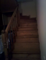 ��������� ��� �����������, �����������, ������ ���� 1