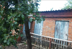 ��������� ��� �����������, �����������, �����������, ������ ���� 8