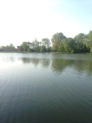 ��������� ��� �����������, ����������� ���� 10