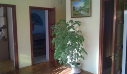 Продается дом Хмельницкая, Хмельницкий, Дубово, старый Аэродром, Ювілейна, 33 фото 2 Продается дом Хмельницкая, Хмельницкий, Дубово, старый Аэродром, Ювілейна, 33 фото 2