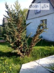 Продаж будинку фото 9 Продаж будинку фото 9