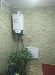 ��������� ��� ���� �������, �����������, �����������, ������ ���� 21