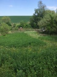 ������ ���� ���� 5