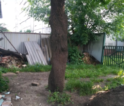 ��������� ��� �����������, �����������, ����� ����� ���� 2