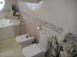 ������ ������� ���� 8