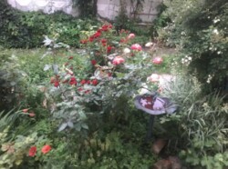 Продаж будинку у Центрі фото 6 Продаж будинку у Центрі фото 6