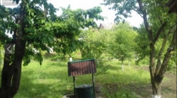 ��������� ��� �����������, �����������, �������� ���� 5