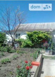 ������ ������� ���� 10