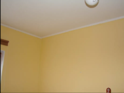 ��������� ��� ϳ�������, �����������, �����������, ������ ���� 8