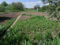 Продается дом Хмельницкая, Хмельницкий, Давыдковцы, дачне товариство Енергія фото 1 Продается дом Хмельницкая, Хмельницкий, Давыдковцы, дачне товариство Енергія фото 1