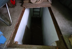 ��������� ��� �����������, �����������, �������� ���� 1