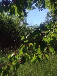 Продается дом Заярна, Книжківці, Хмельницкий, Хмельницкая фото 6 Продается дом Заярна, Книжківці, Хмельницкий, Хмельницкая фото 6