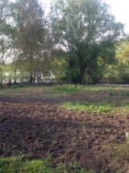 ��������� ��� �����������, ����������� ���� 2