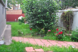 Продаж будинку фото 4 Продаж будинку фото 4