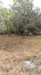 ��������� ��� ������, �����������, �����������, ������� ���� 2