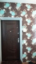 ��������� ��� �������, �����������, �����������, ������ ���� 21