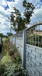 ��������� ������� ������ ��������� ���., 2, ���, �������������, ��������� ���������, �. �������� ���� 6