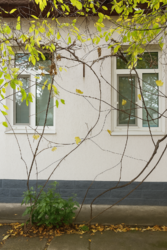 Продається будинок Київська, Обухівський фото 17 Продається будинок Київська, Обухівський фото 17